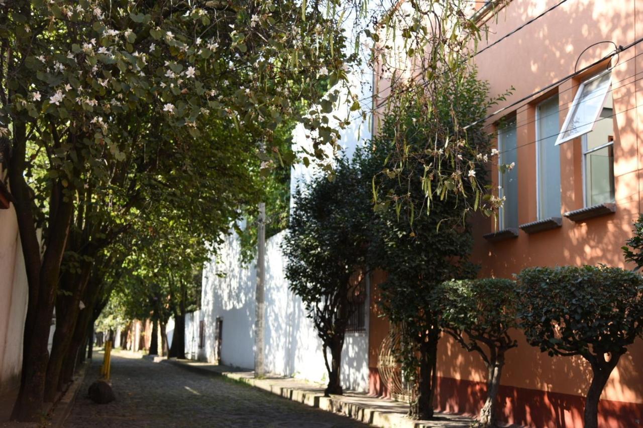 Casa Lulu Coyoacan Alvaro Obregon ภายนอก รูปภาพ