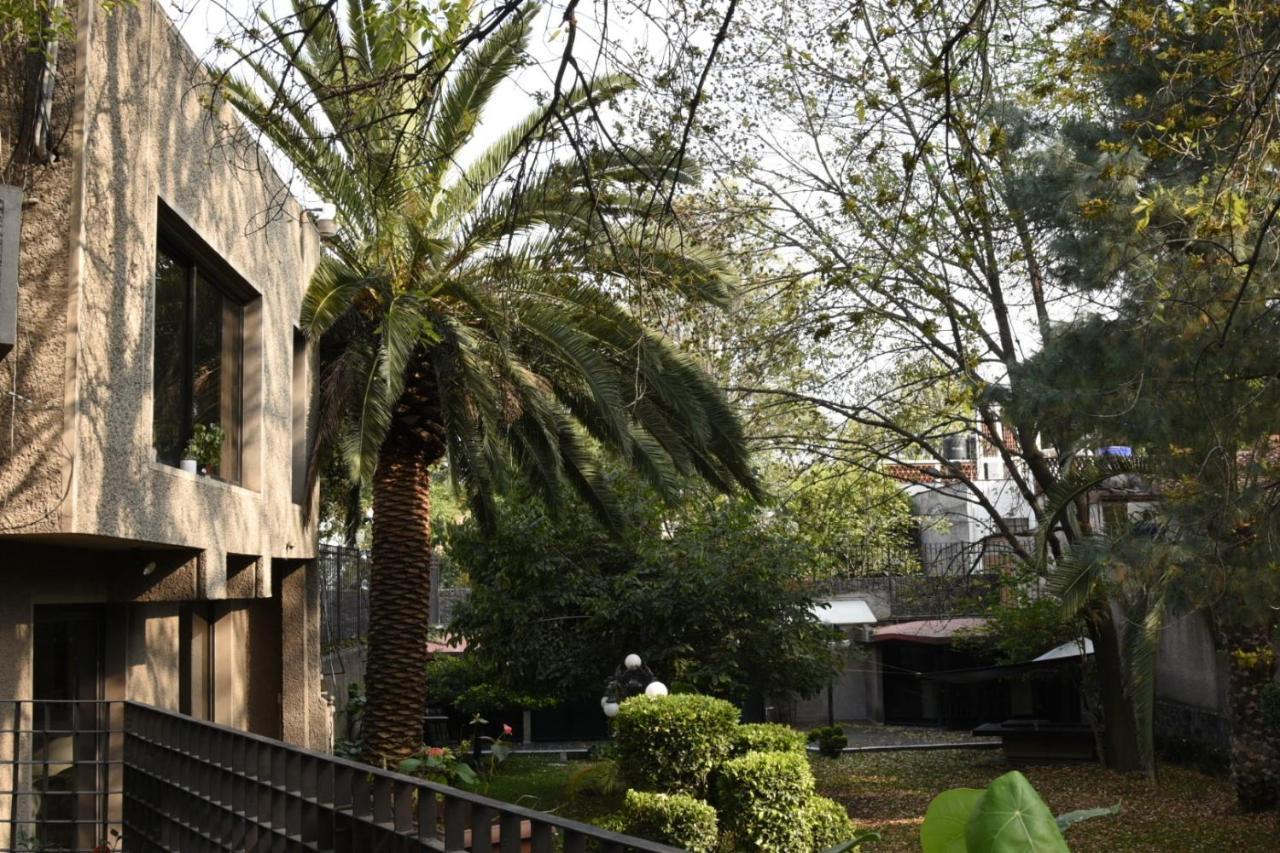 Casa Lulu Coyoacan Alvaro Obregon ภายนอก รูปภาพ