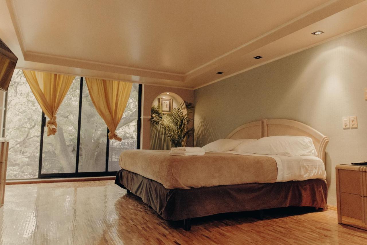 Casa Lulu Coyoacan Alvaro Obregon ภายนอก รูปภาพ