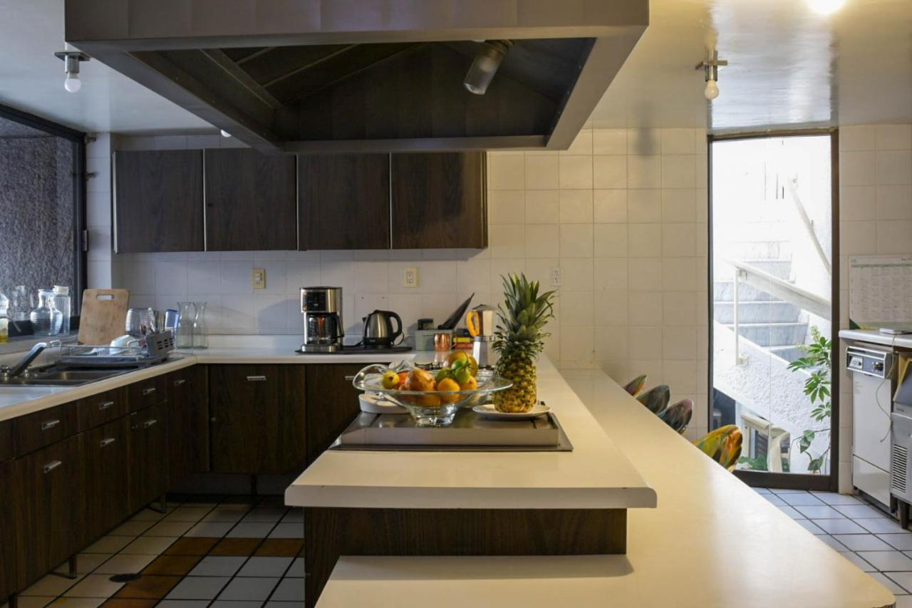 Casa Lulu Coyoacan Alvaro Obregon ภายนอก รูปภาพ