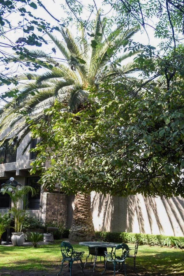Casa Lulu Coyoacan Alvaro Obregon ภายนอก รูปภาพ